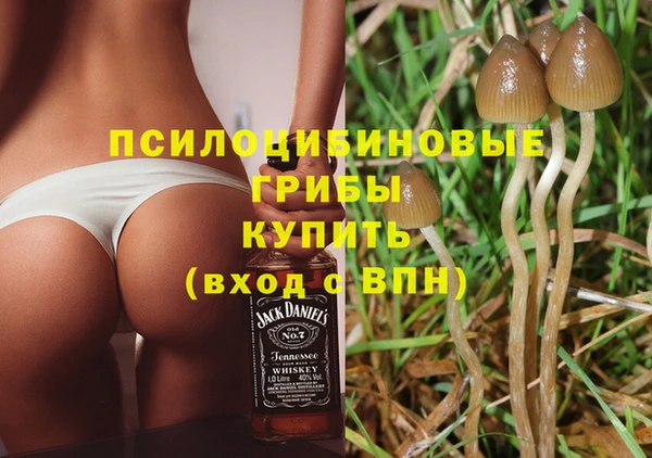 бошки Белоозёрский