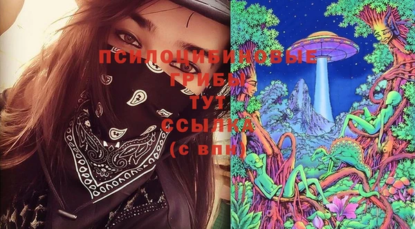 бошки Белоозёрский