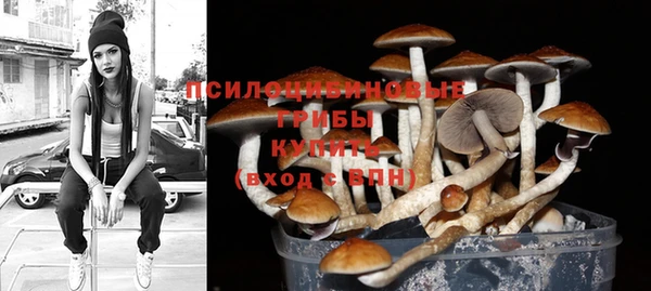 ешки Богданович