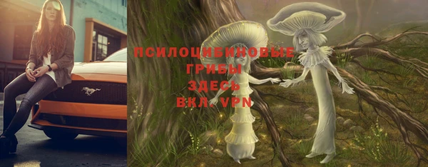 стаф Белокуриха