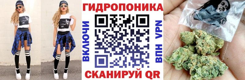 Каннабис THC 21%  Балтийск 